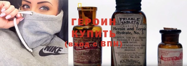 гашик Алексин
