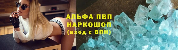 гашик Алексин