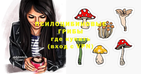 a pvp Абдулино